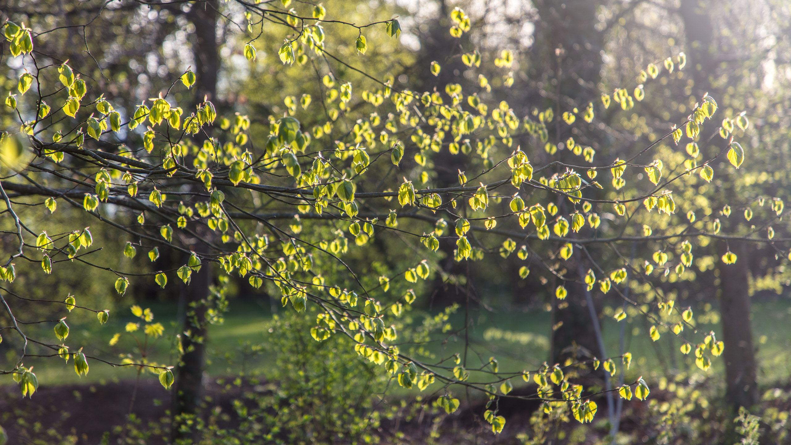 20180414190523 DP014949